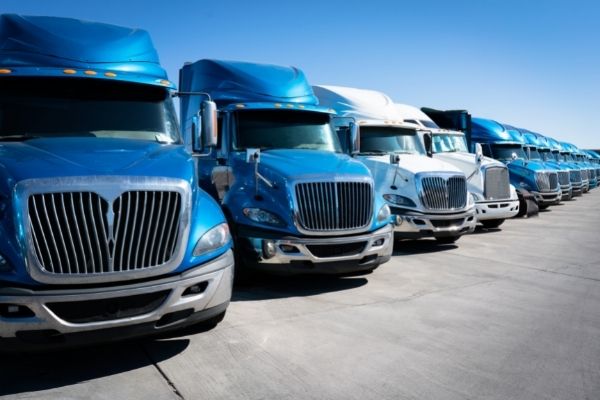 Camiones alineados en fila, esperando ser conducidos por camioneros con protección de boleto CDL y tarjetas de combustible proporcionadas por TVC Pro-Driver